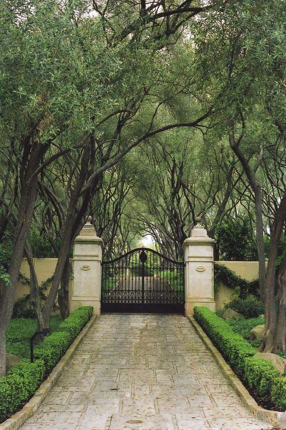 Enhancing Your Home’s Curb Appeal with a Beautifully Landscaped Driveway