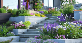 landscaping curb appeal