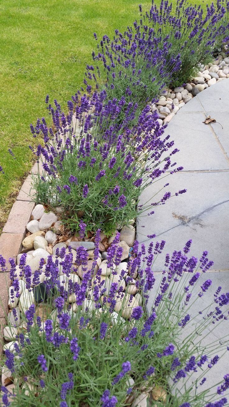 Enhancing Your Home’s Exterior with Beautiful Landscaping