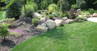 landscaping mounds