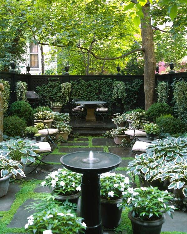 small garden with fountain