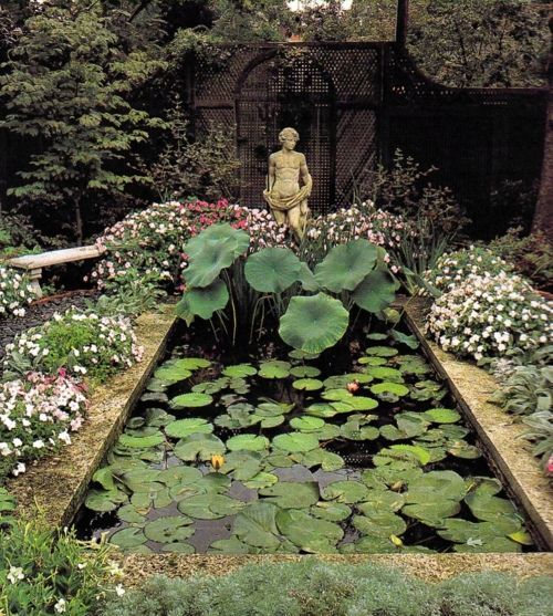 Enhancing Your Outdoor Oasis with a Serene Garden Pond