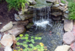 small garden with fountain