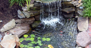 small garden with fountain