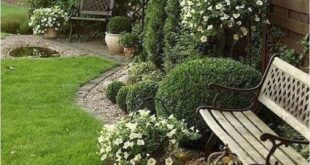 landscaping around patio