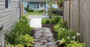 side yard landscaping