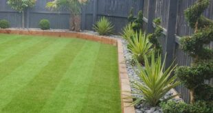 simple backyard landscaping along fence