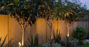 landscaping lighting