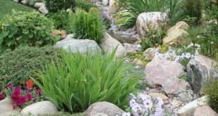 rock garden landscaping