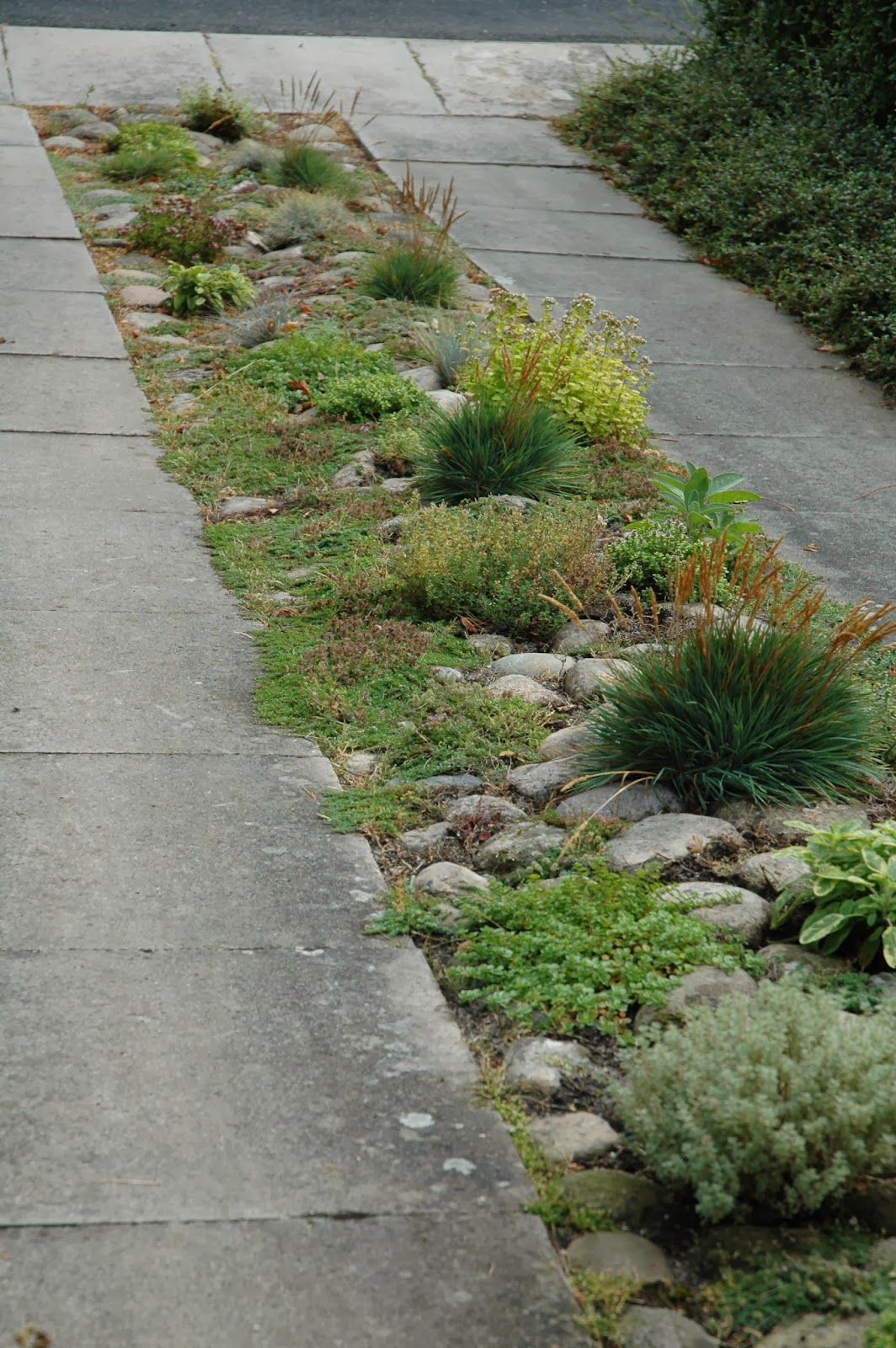 Enhancing Your Outdoor Space with Beautiful Landscaping Rocks