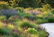 landscaping with ornamental grasses