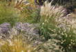 landscaping with ornamental grasses