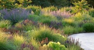 landscaping with ornamental grasses