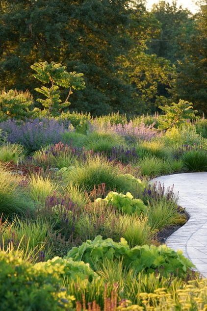 landscaping with ornamental grasses