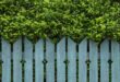 garden fence