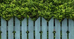 garden fence