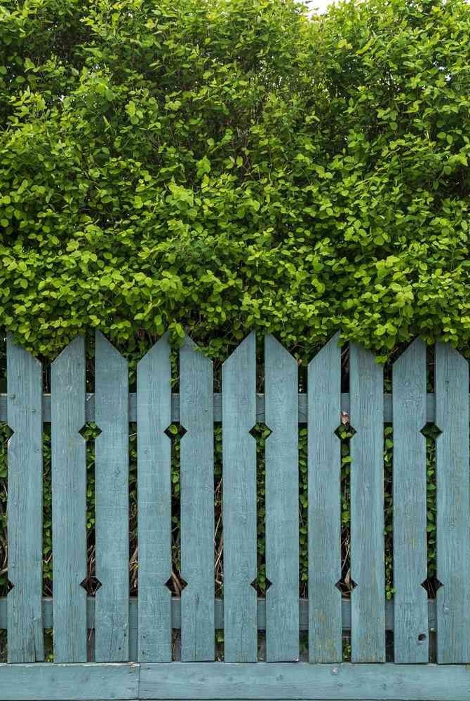 Enhancing Your Outdoor Space with a Charming Garden Fence