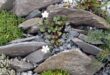 rock garden landscaping