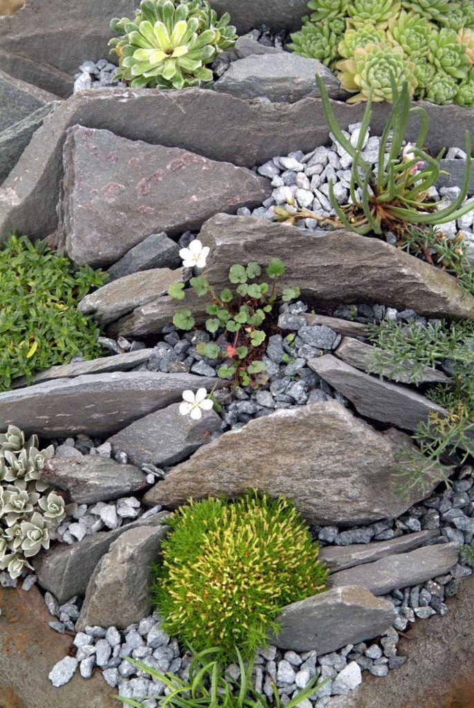 Enhancing Your Outdoor Space with a Stunning Rock Garden Landscape