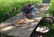 garden table