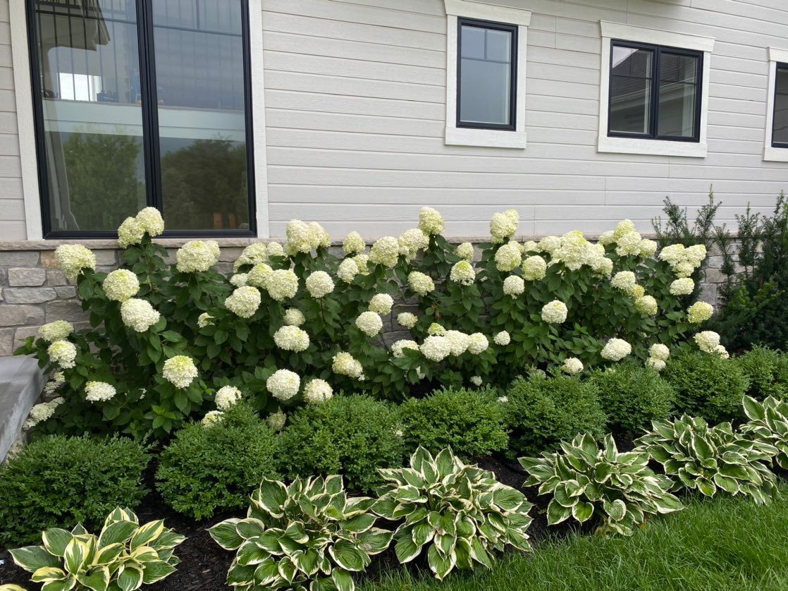 Enhancing the Curb Appeal of Your Home through Front Yard Landscaping