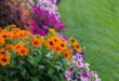 front yard flower beds