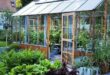 garden greenhouse