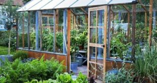 garden greenhouse