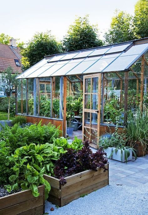 Essential Guide to Setting Up Your Own Garden Greenhouse