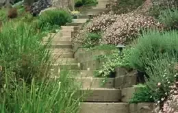 landscaping steps on a slope