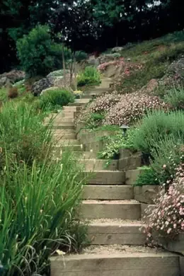 landscaping steps on a slope