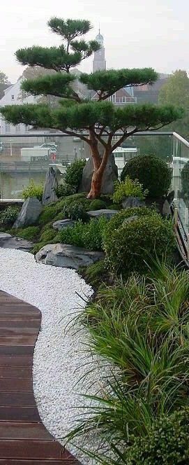 Experience Tranquility in a Miniature Japanese Zen Garden