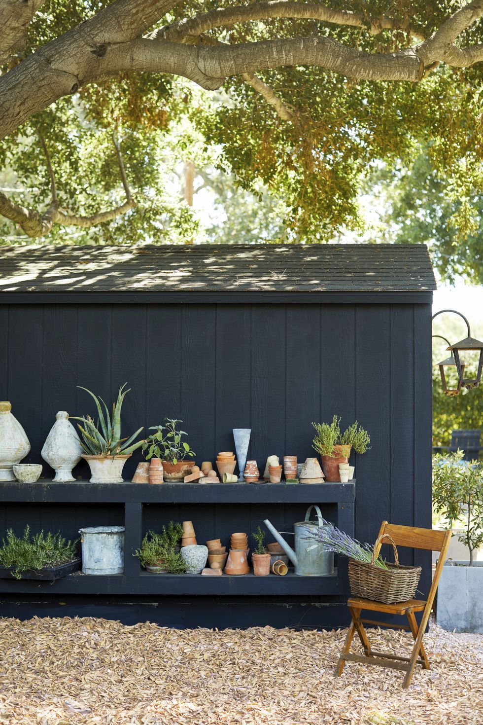 Exploring Beautiful and Functional Garden Shed Designs