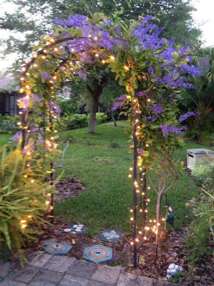 Exploring the Beauty and Functionality of Metal Garden Arches