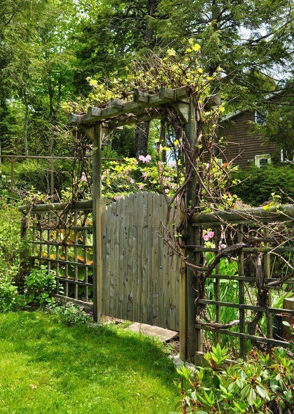 Exploring the Beauty and Versatility of Garden Gates