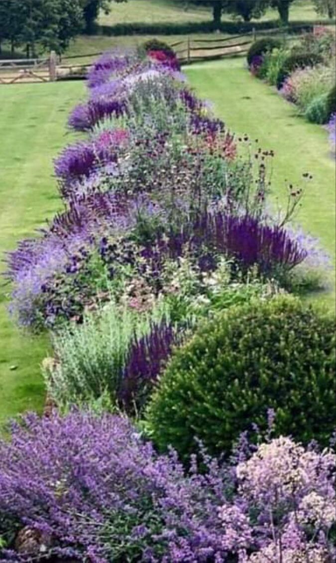 Exploring the Beauty of Front Yards