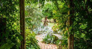 garden path