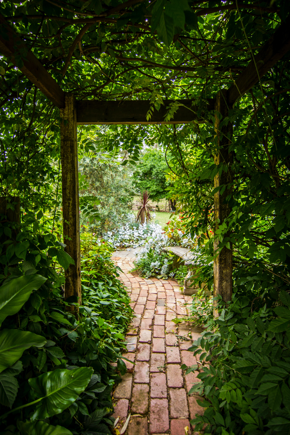 Exploring the Beauty of Garden Paths