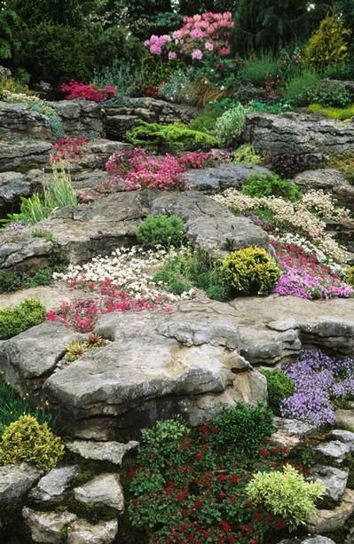 Exploring the Beauty of Rock Gardens