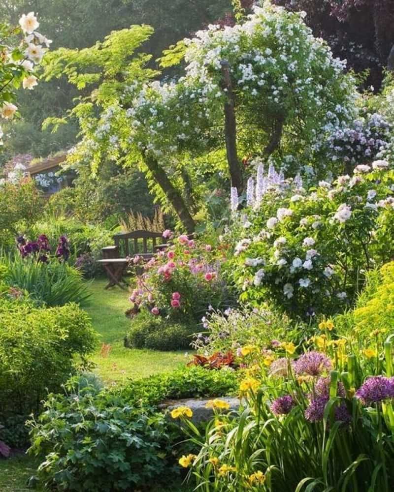 Exploring the Beauty of Traditional
English Gardens