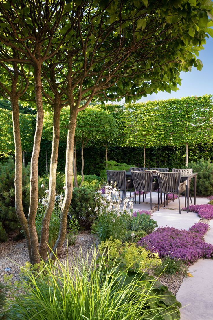 Exploring the Beauty of Trees in Garden Design