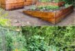 garden design vegetable