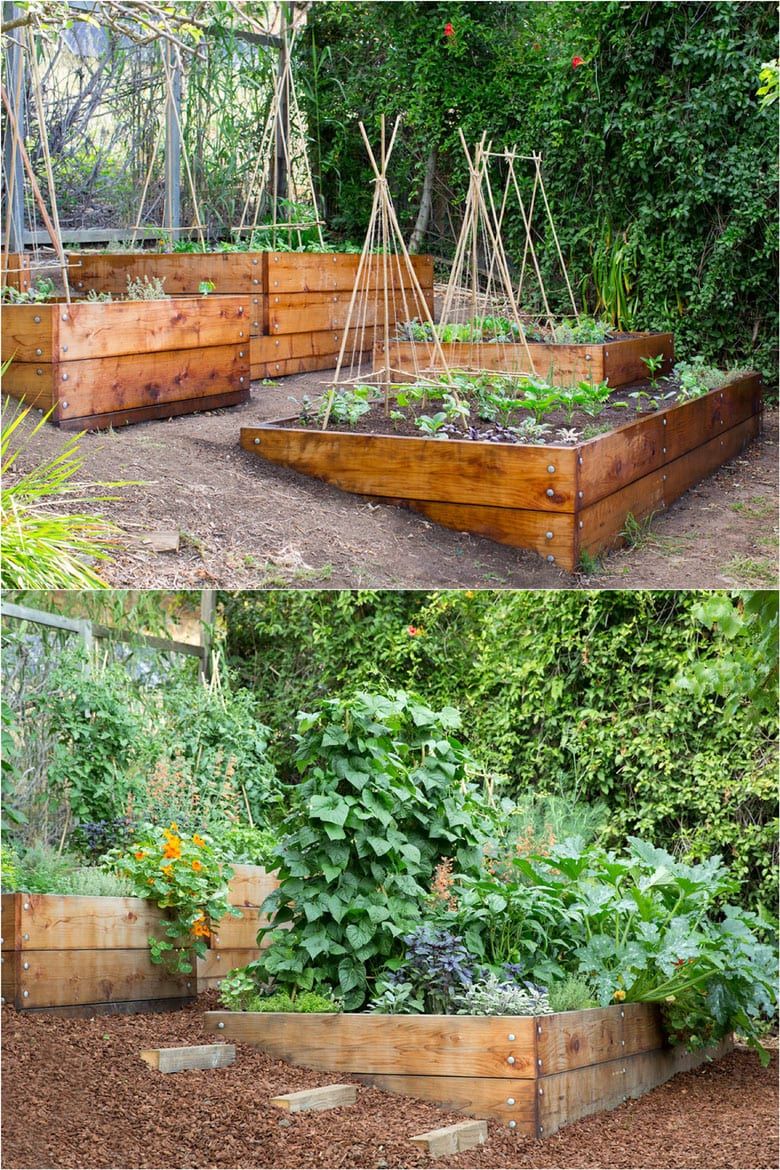 Exploring the Beauty of Vegetable Garden Design