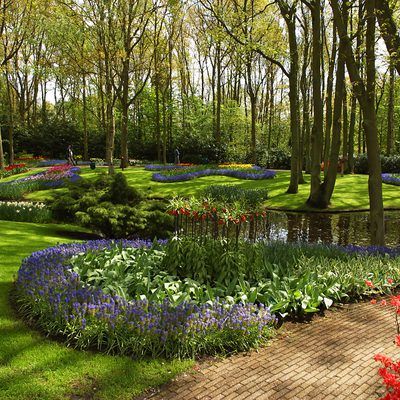 Exploring the Diverse Array of Plants for Your Landscape Design