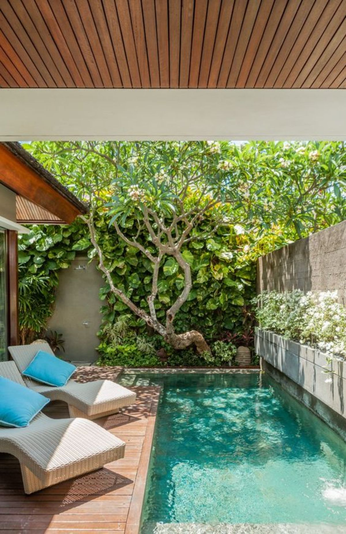 Exploring the Tranquility of Backyard Pools