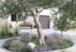 landscape designs