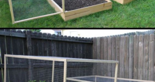 garden planter boxes