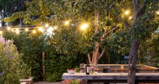 outdoor living ideas