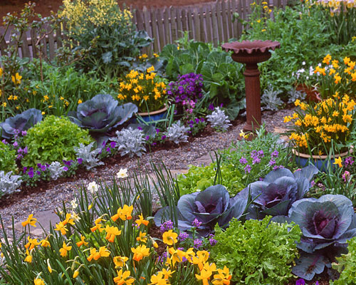 Gorgeous Garden Design: Embracing Edible Landscaping for a Deliciously Beautiful Yard