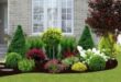 landscaping ideas